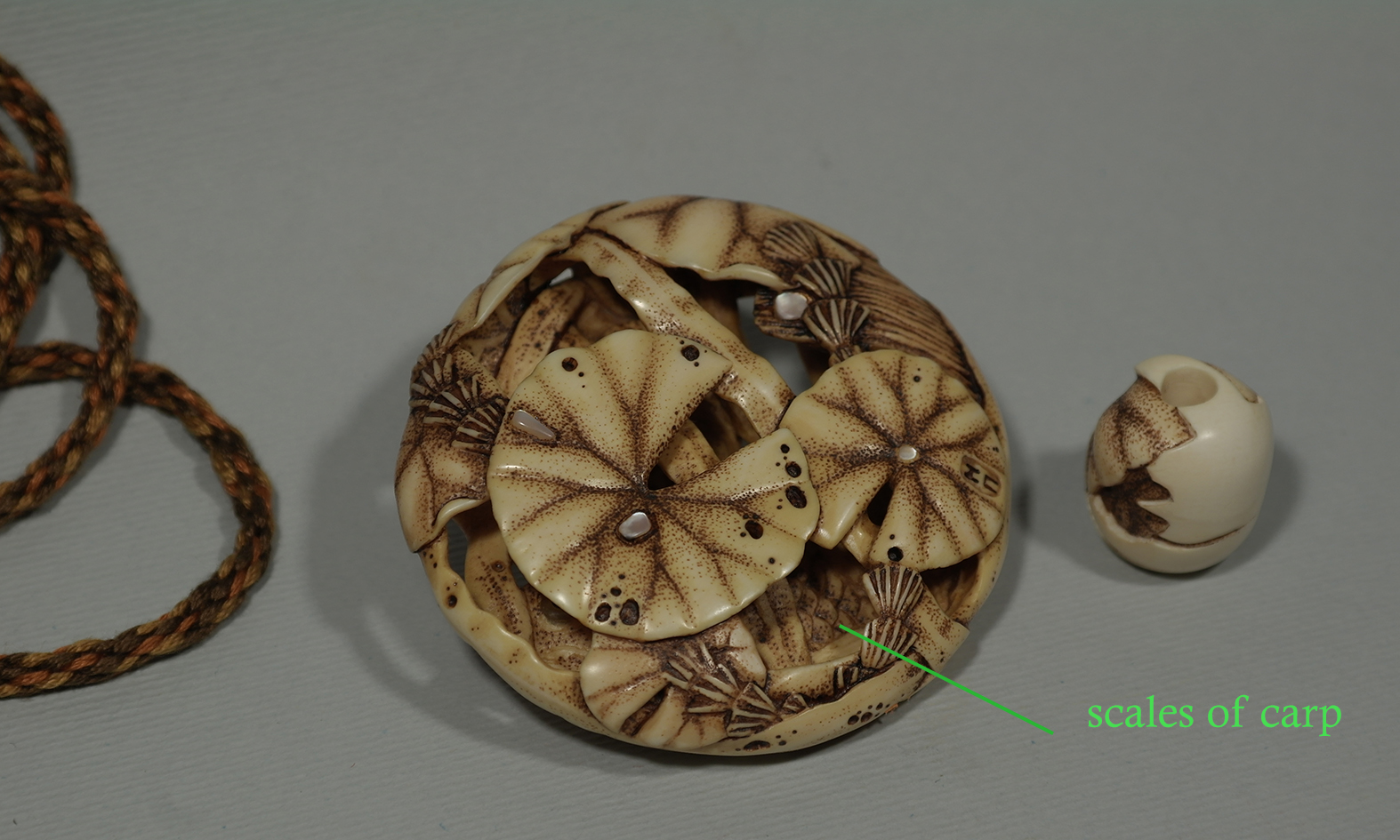 Carp under the lotus leaves 8